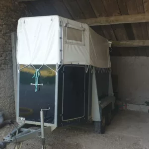 Westfalia 1988 - Remorque pour 2 chevaux, 710 kg, pont arrière, chevaux voyagent tête avant - Neuf